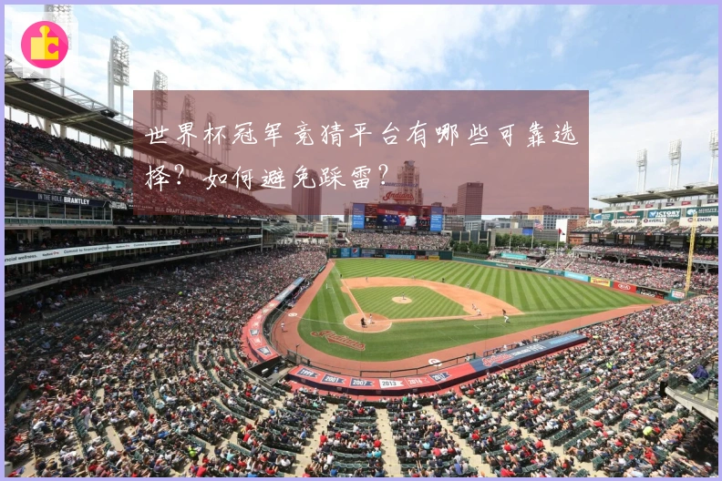 世界杯冠军竞猜平台有哪些可靠选择？如何避免踩雷？