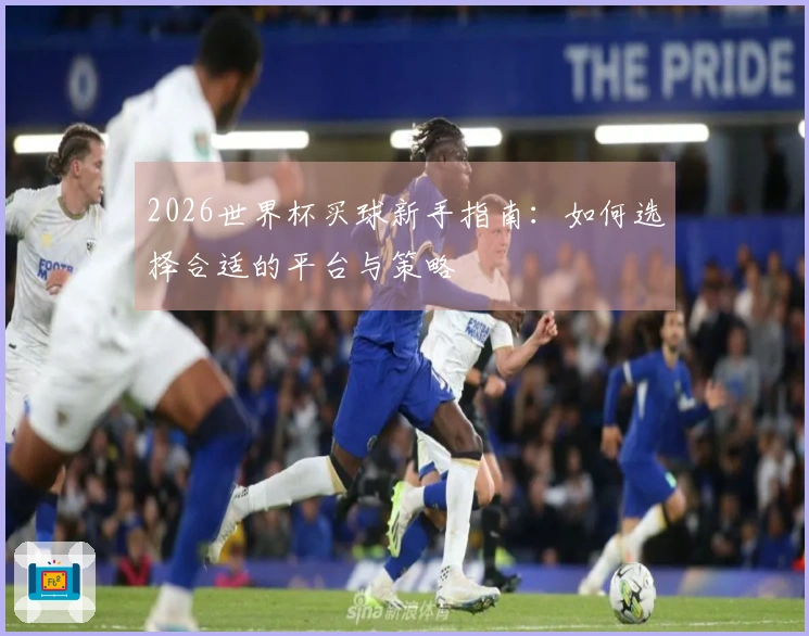 2026世界杯买球新手指南：如何选择合适的平台与策略