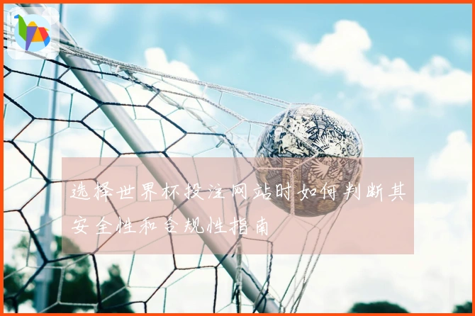 选择世界杯投注网站时如何判断其安全性和合规性指南