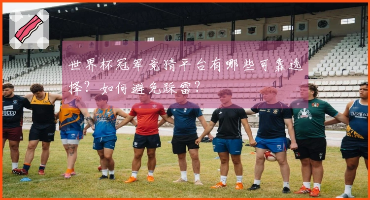 世界杯冠军竞猜平台有哪些可靠选择？如何避免踩雷？